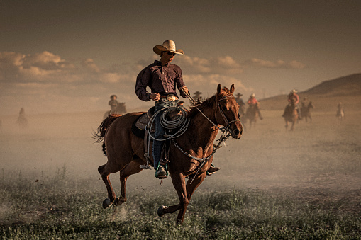 In foreground, a young cowboy on his horse during the run of the horses and, in background, a group of eight cowboys and cowgirls supervising the run of the horses.