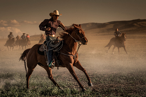 Outdoor rural scene of the view from behind of a cowboy wearing leather chaps sitting in the saddle on his horse that is watching the livestock herd.