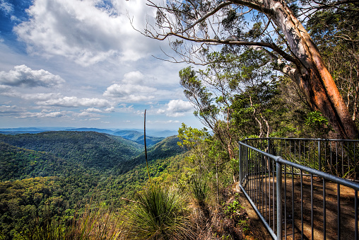 The highest point lookout on Mt. Springbrook National Park on the Gold Coast hinterland