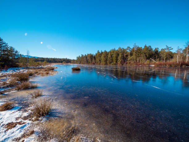 istock Frozen moor lake in Bavaria 1303060126