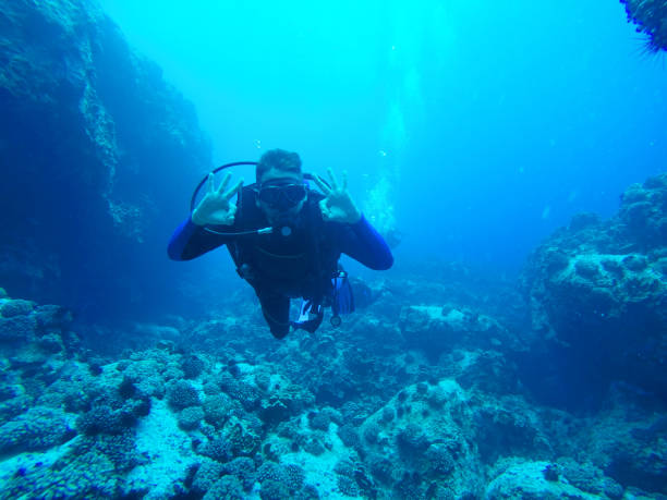 scuba diver into the easter islands' sea life reef at rapa nui, chile, latin america - ahu tahai imagens e fotografias de stock