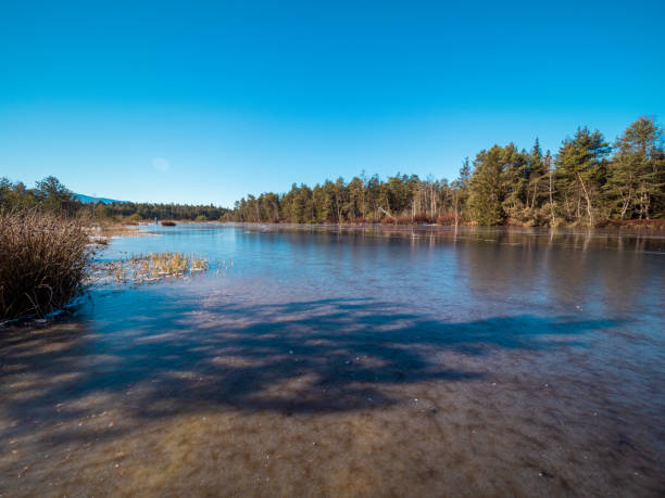 istock Frozen moor lake in Bavaria 1303060745