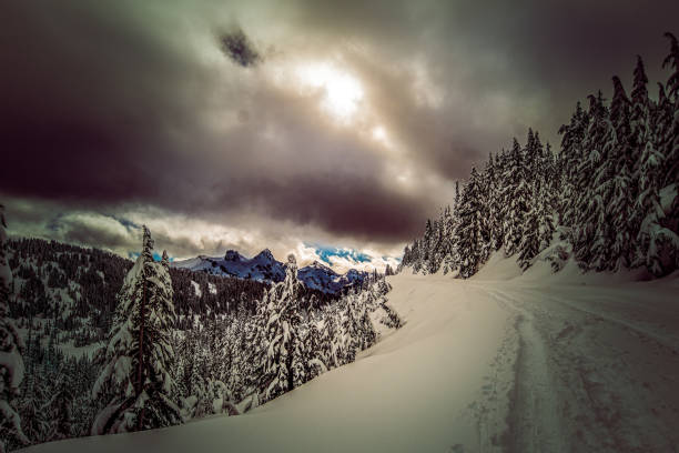 Snowshoe trail at Paradise, Mount Rainier National Park