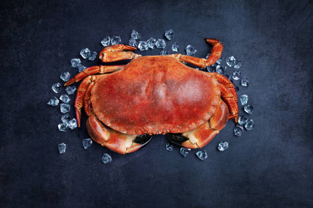 Beautiful cut out crab cake