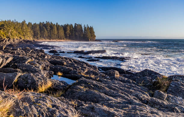 istock waves on the coast of a rocky beach 1303072846