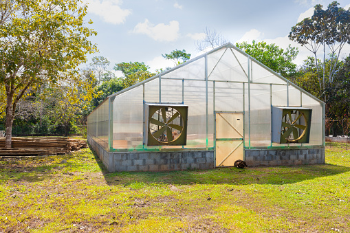 Panama, Sabana Bonita, in Chiriqui province, greenhouse with forced ventilation