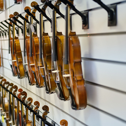 Sale of violins in the store of stringed musical instruments, close-up.