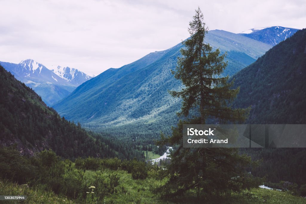 beautiful mountain landscape beautiful mountain landscape, Altai, Russia Altai Republic Stock Photo