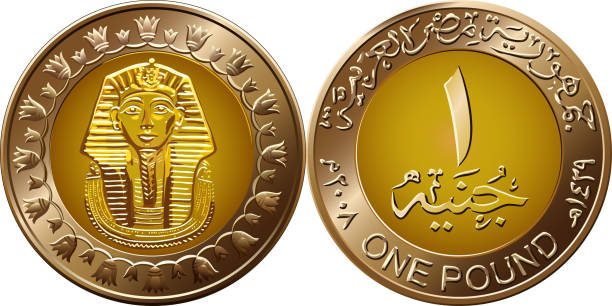 vector Egyptian coin featuring Pharaoh Mone of Egypt, gold coin of 1 pound, reverse with value in Arabic and in English, obverse with pharaoh Tutankhamen british coins stock illustrations