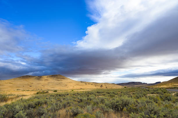 istock Leslie Gulch Landscape with Clouds 1303083425