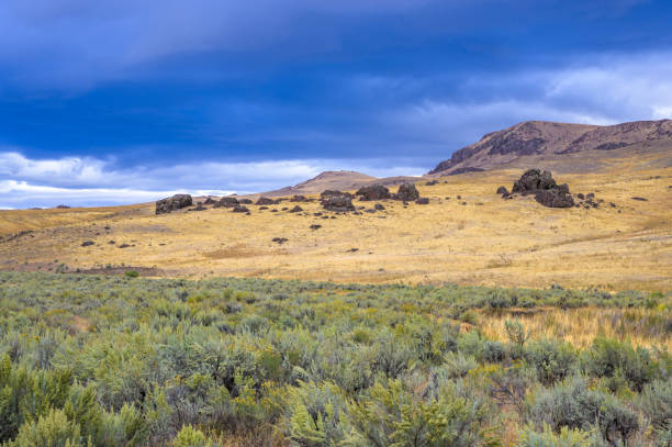 istock Leslie Gulch Landscape with Clouds 1303083428