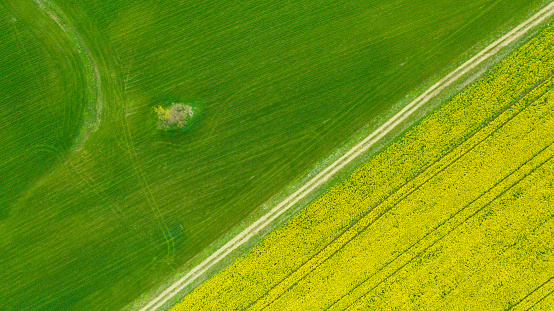 Aerial view of summer fields. Yellow fields from above. Photo ca in Burgas, Burgas, Bulgaria