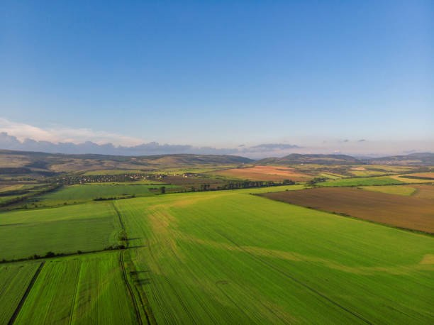 istock Top view aerial photo of settlements and fields. 1303084537