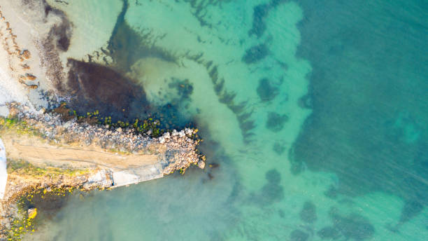 istock View from the air to the beach. 1303084546