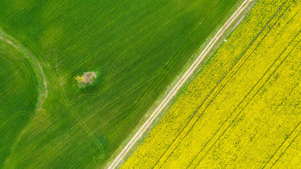 istock Aerial view over the agricultural fields. 1303084575