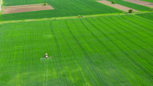 istock Aerial view tractor spraying the chemicals. 1303084590