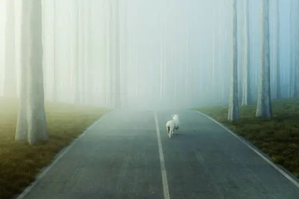 Lost sheep in the middle of the forest road. This is entirely 3D generated image.