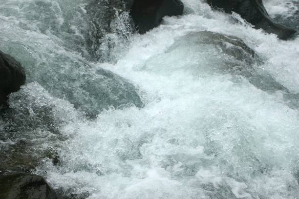 istock beautiful clear river flow in tropical forest. 1303087768