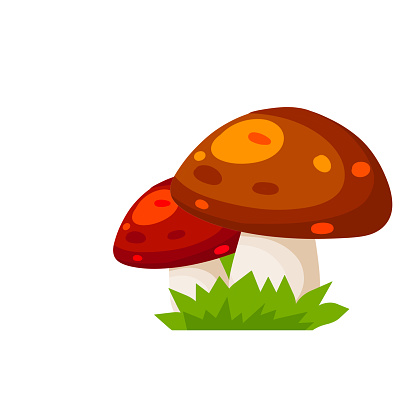 Mushroom with a red cap. Natural natural product. Vegetation element of the forest with green grass. Flat cartoon illustration