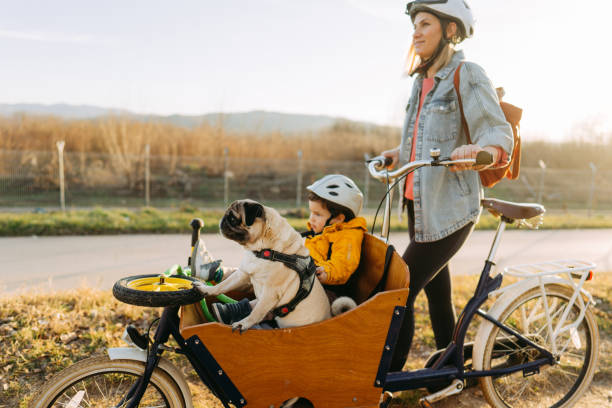 Little boy enjoys cargo bike ride with his mom and his dog Photo of a cheerful little boy who enjoys riding in a cargo bicycle on a sunny springtime day with his mother and their pet. cargo bike photos stock pictures, royalty-free photos & images