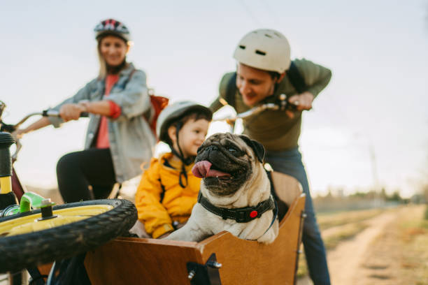 istock Family on a bike ride 1303110532