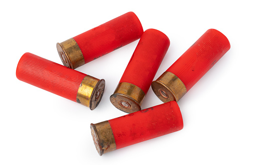 Shotgun shell cartridge isolated on white background close up