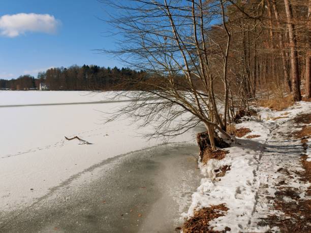 istock Sunny day at the Werbellinsee 1303115070