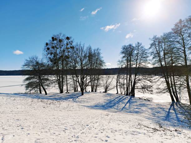 istock Beach at The Werbellinsee 1303115368