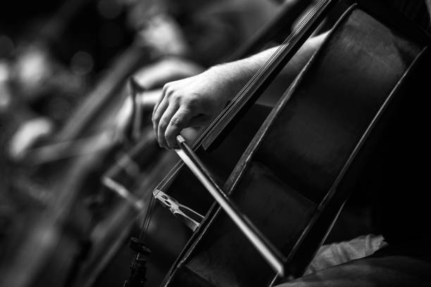 istock Hands of a musician playing the cello 1303115605