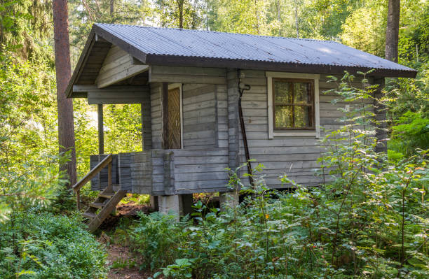 istock Small wooden house in pine summer forest 1303117126