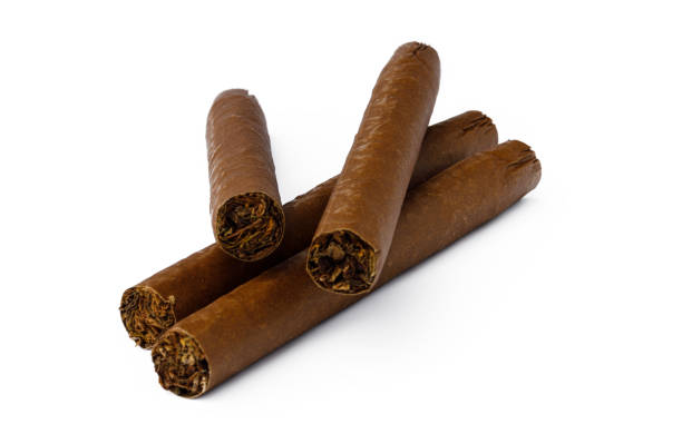 istock Bunch of hand rolled cigars isolated on white 1303117695