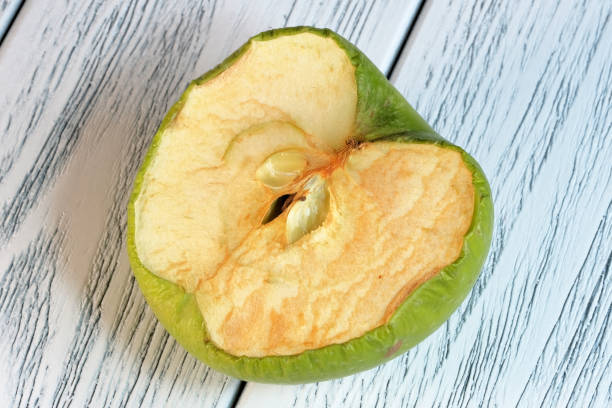 istock Wrinkled spoiled dried apple 1303118195
