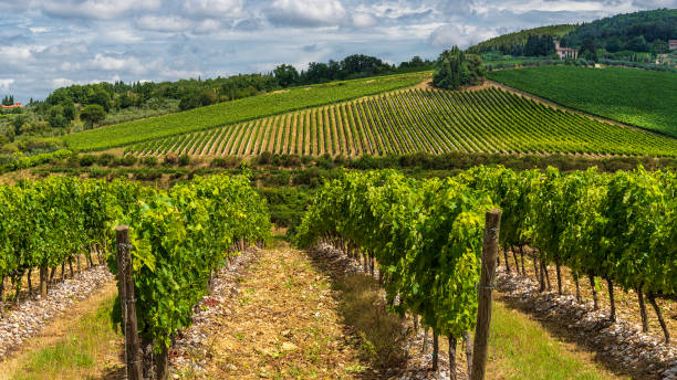 istock tuscany rural landscape 1303121147