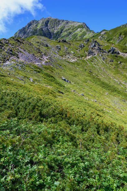istock Mount Kitadake in Southern Japanese Alps 1303121745