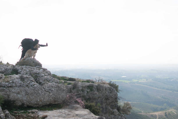istock Man and dog doing selfi with smart phone on the mountain peak. 1303122226