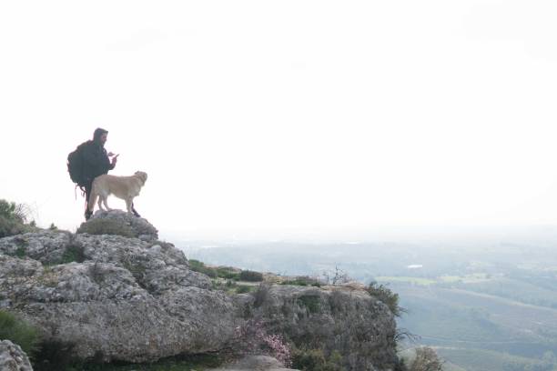 istock Man and dog using phone on peak and watching the mountain landscape 1303122293