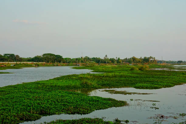istock Thailand, Udon Thani, Lake at Kumphawapi 1303123401
