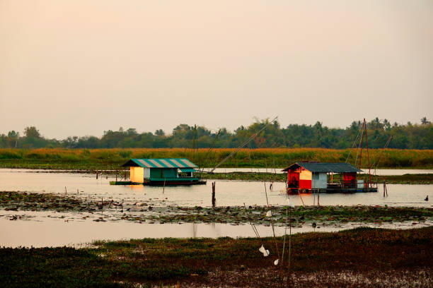 istock Thailand, Udon Thani, Lake at Kumphawapi 1303123490