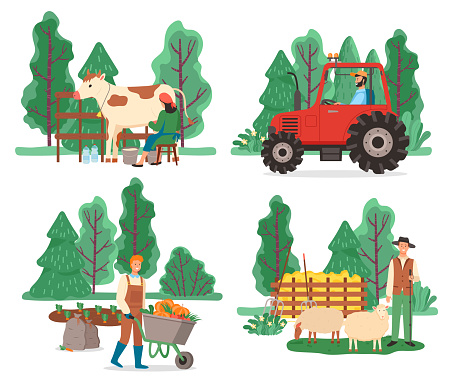 Collection of farming equipment and people working on field. Man transporting harvested pumpkins, shepherd with sheep. Milkmaid with cow and driver of tractor cultivating soil, vector in flat