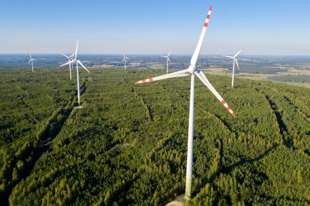 istock Aerial View of Wind Power Plant 1303125524