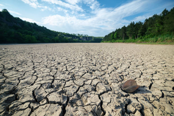 klimawandel und umweltfragen. wüstenlandrisse eines verlassenen leeren trockenen sees. - flussbett stock-fotos und bilder