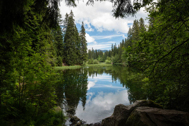 istock Vrbicke pleso in Low Tatras, Slovakia 1303129105