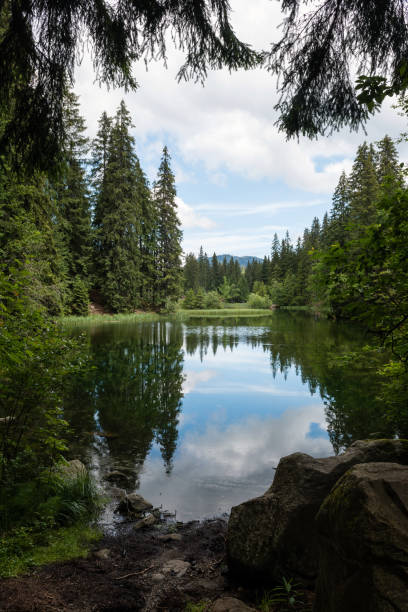 istock Vrbicke pleso in Low Tatras, Slovakia 1303129155