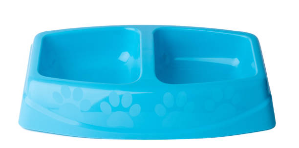 istock New plastic pet bowl isolated on white 1303130410