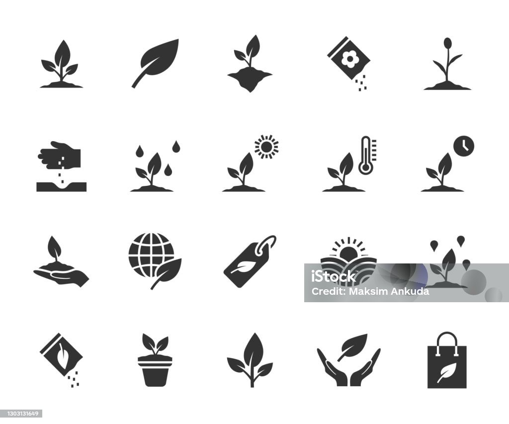 Conjunto vectorial de iconos planos de planta. Contiene iconos de plándalo, semillas, condiciones de cultivo, hoja, planta de cultivo y más. Píxel perfecto. - arte vectorial de Ícono libre de derechos Conjunto vectorial de iconos planos de planta. Contiene iconos de plándalo, semillas, condiciones de cultivo, hoja, planta de cultivo y más. Píxel perfecto. - arte vectorial de Ícono libre de derechos