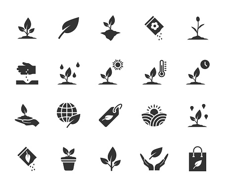 Vector set of plant flat icons. Contains icons seedling, seeds, growing conditions, leaf, growing plant and more. Pixel perfect.