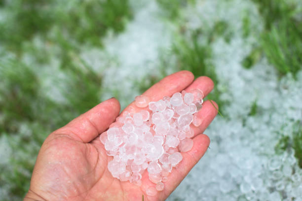 istock A human hand full of hailstones 1303132898
