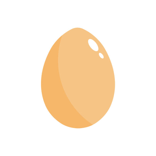illustrazioni stock, clip art, cartoni animati e icone di tendenza di vettore. uovo di gallina isolato su sfondo bianco. modello per le festività pasquali - white background brown animal egg ellipse