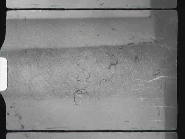 istock empty or blank 8mm film frame with black border and dust. 1303134460