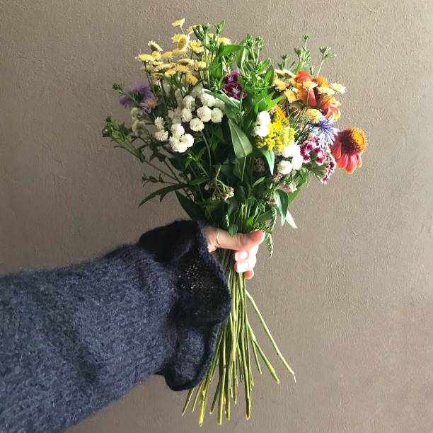 istock Flower in women hand in front gray wall 1303134685
